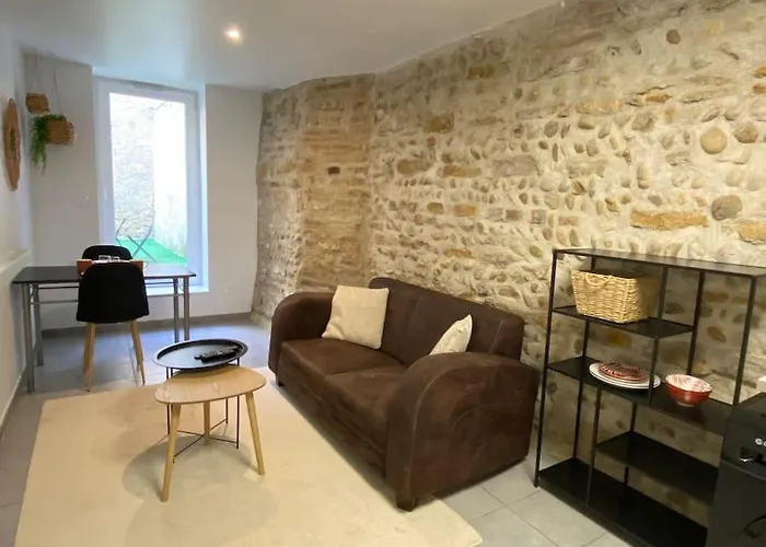 Vaste Appartement Renove - Centre Ville
