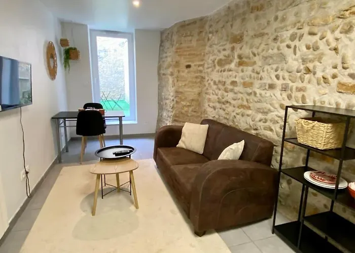 Vaste Appartement Renove - Centre Ville