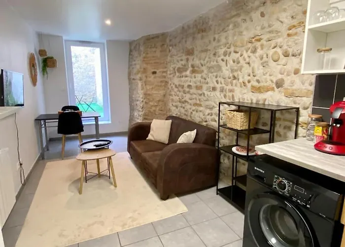 Vaste Appartement Renove - Centre Ville